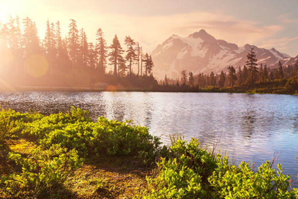 The Evolution of a Surplus Program: How the State of Washington revitalized its surplus services with the help of GovDeals